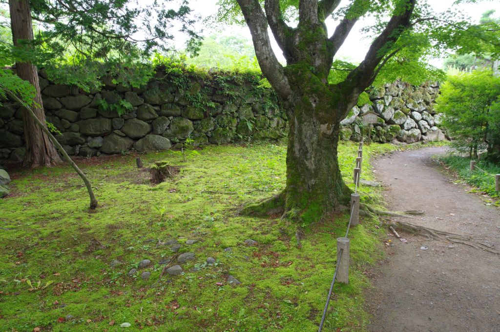 小諸城(懐古園)・天守台へ