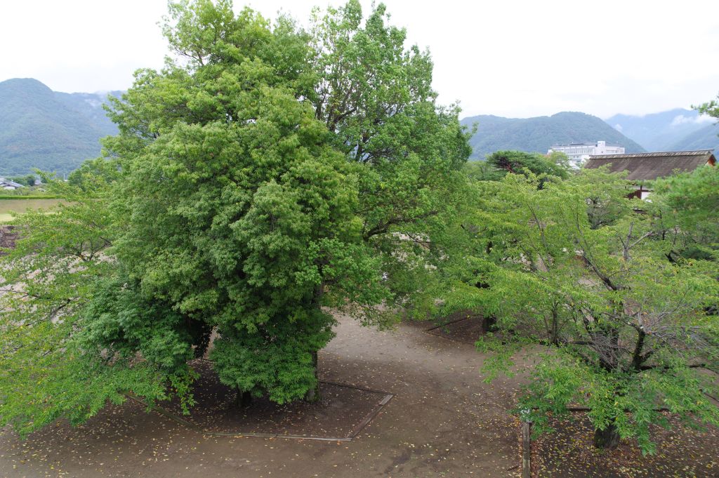 松代城・戌亥隅櫓台から本丸眺望