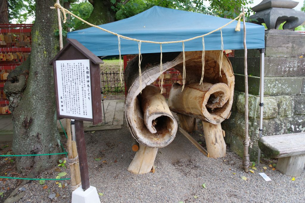 上田城・真田神社・大欅御神木