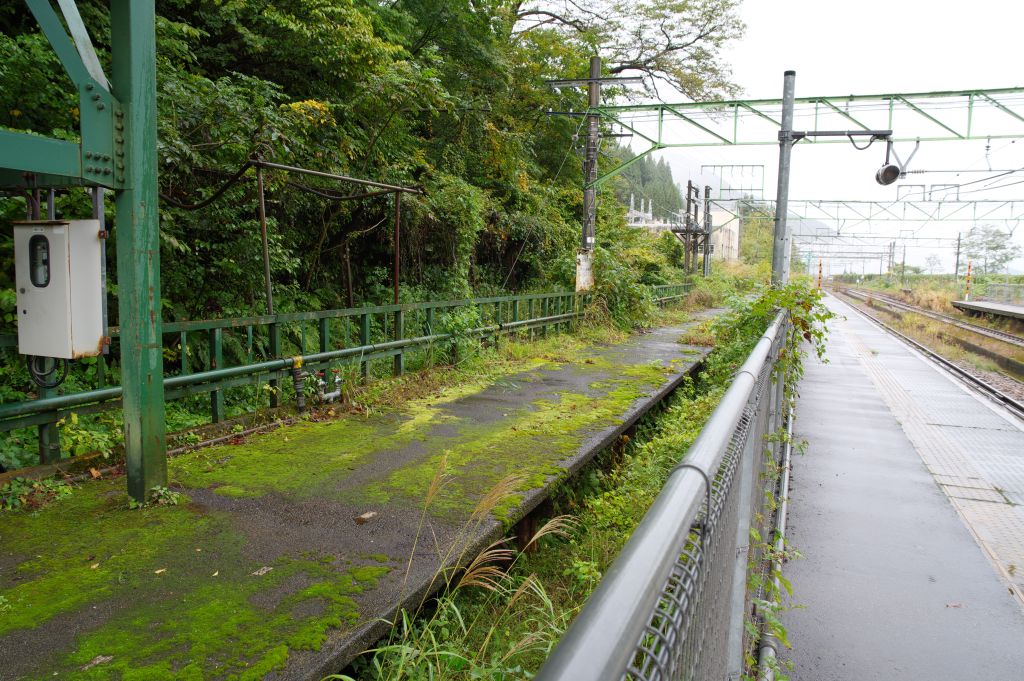 土樽駅・苔の生えた旧ホーム