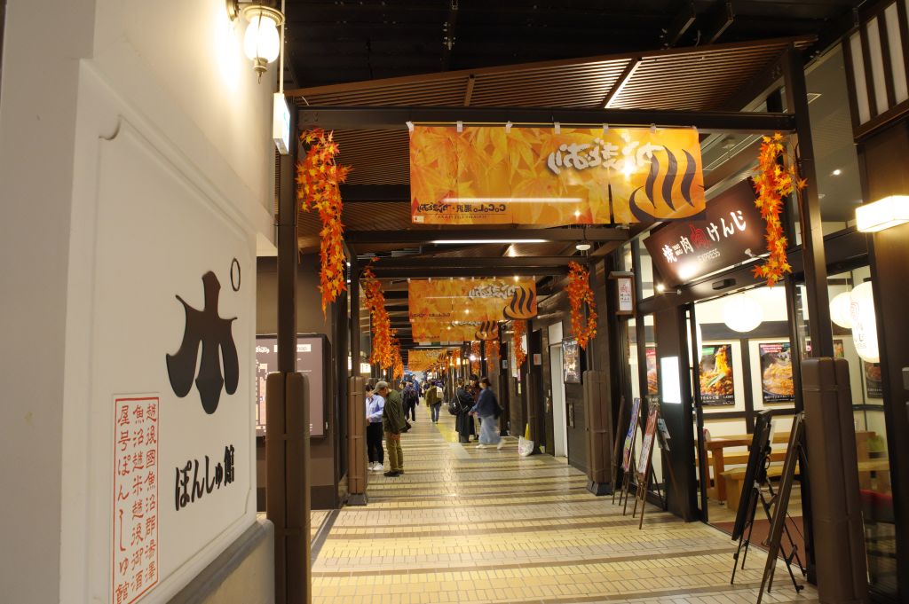 越後湯沢駅・CoCoLo湯沢・がんぎどおり