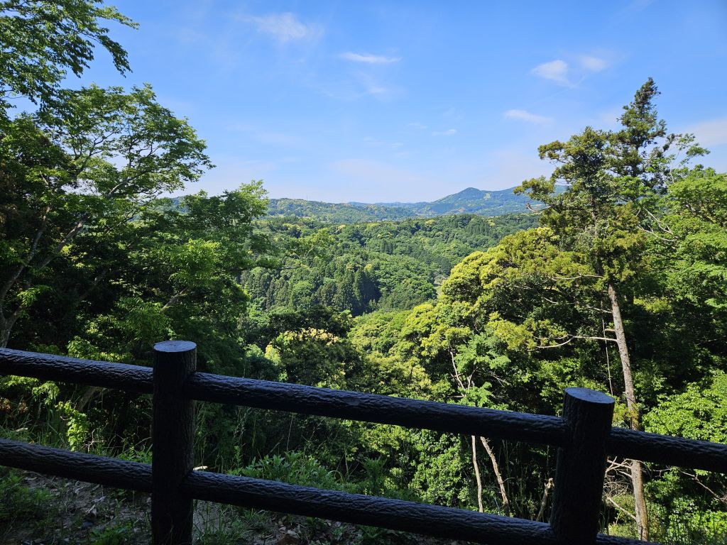 新緑・久留里城