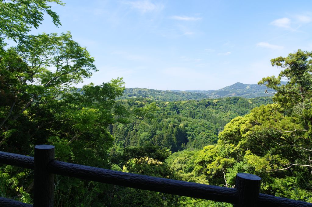 新緑・久留里城