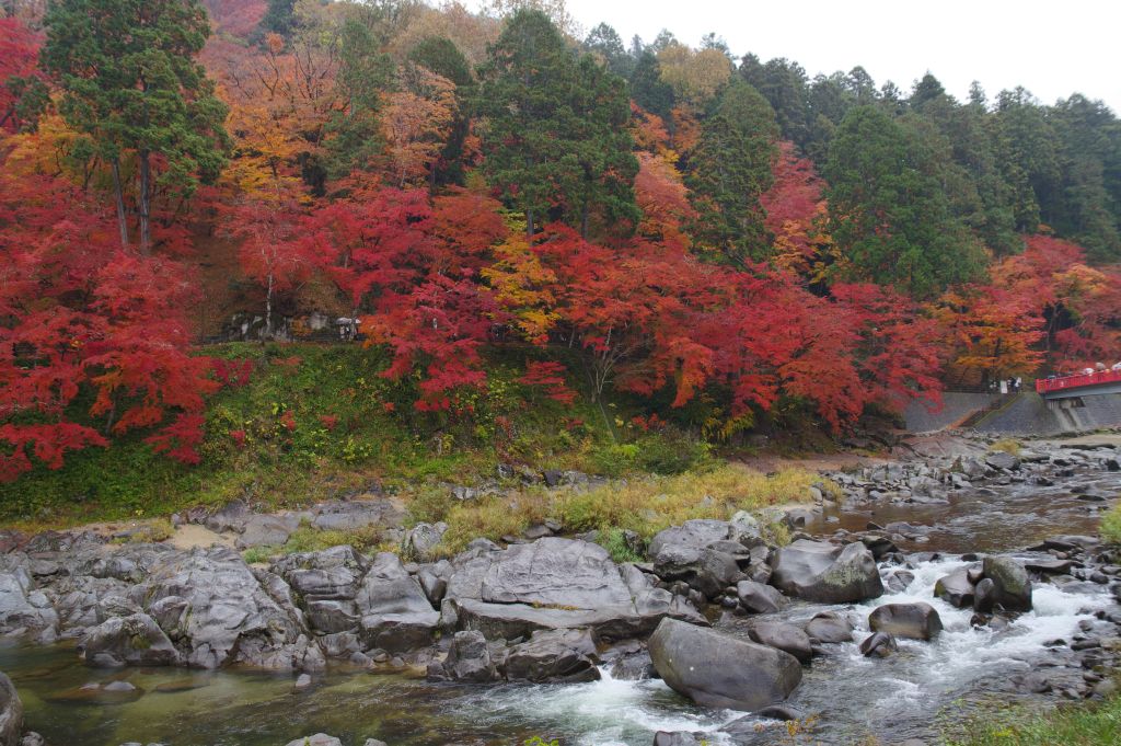 香嵐渓・対岸の紅葉
