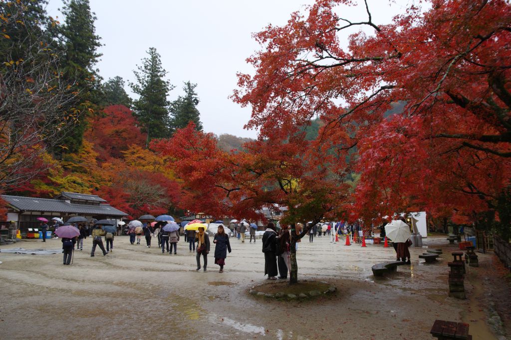 香嵐渓・広場と紅葉と人々