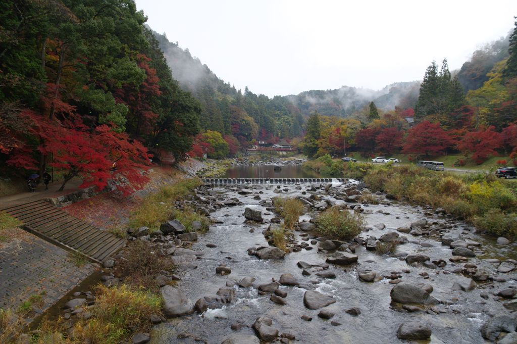 香嵐渓・薫楓橋から上流側