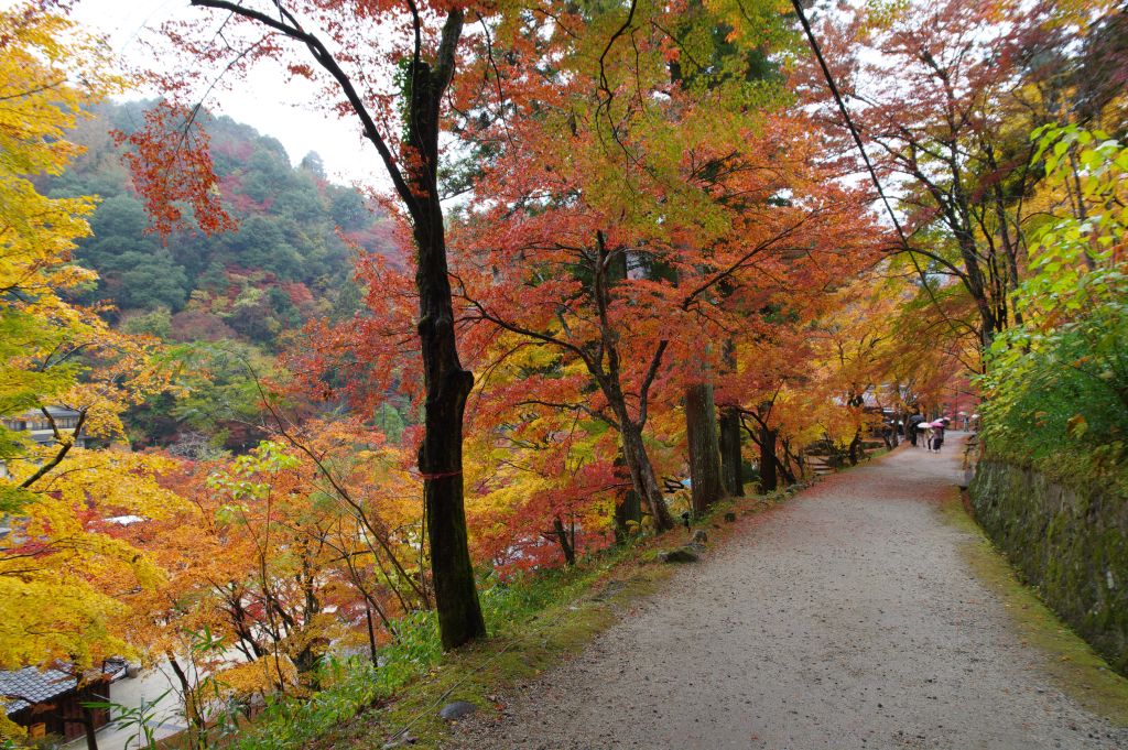 香嵐渓・紅葉の道