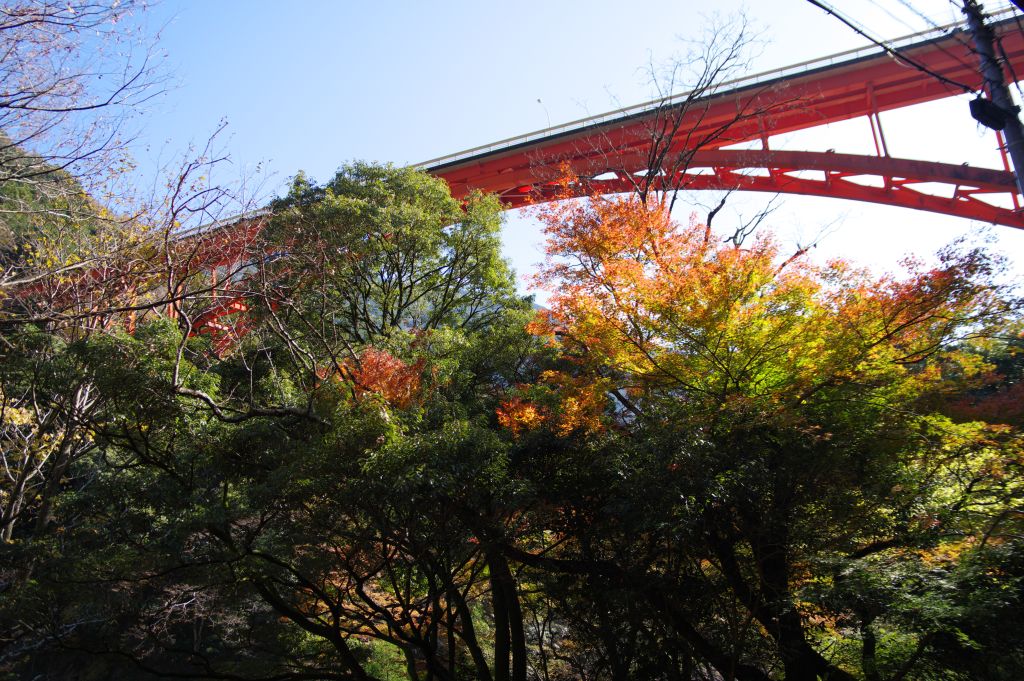 井川線・泉大橋(上流側から)