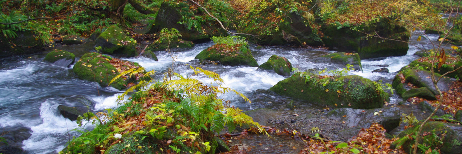 全国風景アーカイブ - スポット毎の一眼レフ写真と情報
