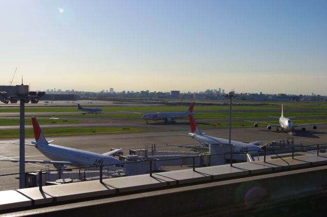 飛行機でにぎわっている。陸側の地平線にはビル群がたくさん並んでいる。