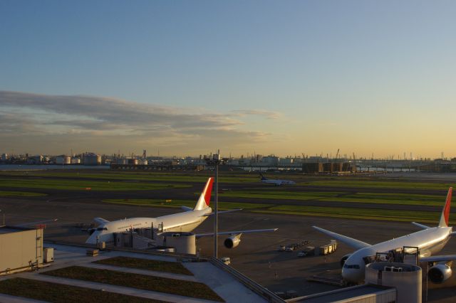 徐々に夕陽に照らされ、空全体が変化してきた。飛行機にも夕陽色が反射している。