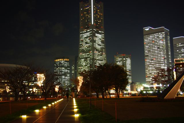 汽車道上から撮影。線路跡に沿うようにライトがついていて幻想的な雰囲気。