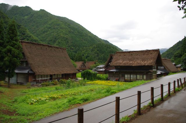 静かな朝に小雨が降って、のどかでのんびりな雰囲気。