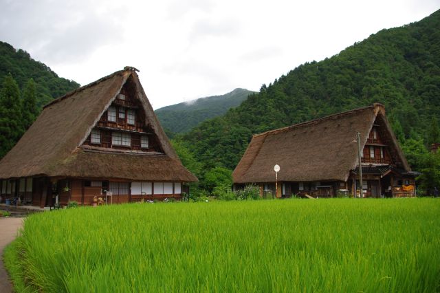 五箇山・菅沼合掌造り集落の写真ページ