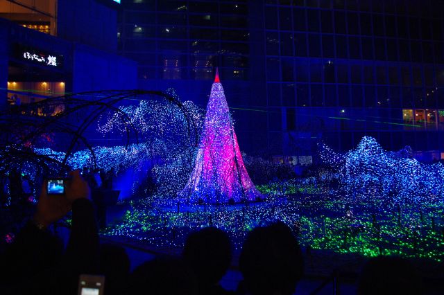 下に降りて横から。音楽に合わせてイルミネーションの色がダイナミックに変化していた。