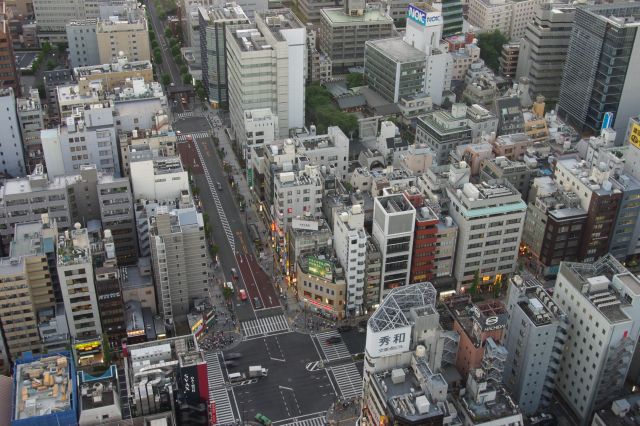 西側の足元、ビル群の中に増上寺の大門が構えている。道の先には増上寺がある。