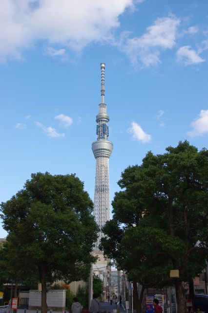 吾妻橋を渡り、浅草通りを進む。途中の小さな公園から眺めるスカイツリー。