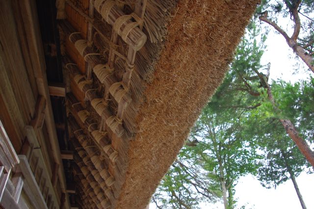 屋根の部分をズーム。分厚いかやぶき屋根が特徴的ですね。