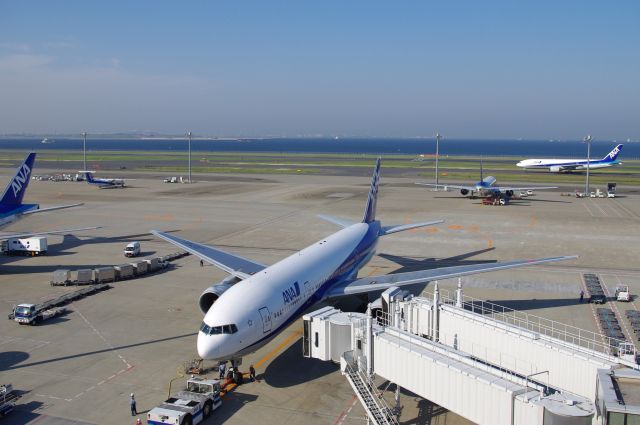 飛行機と海。東京湾を進む大型貨物船や、対岸の千葉県岸もうっすらと見える。幕張、ＴＤＬ、市原の工場群、うみほたるなどが見えるという。