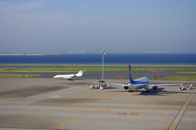 かなり小さい飛行機が降りてきた。セレブのプライベート機でしょうか？