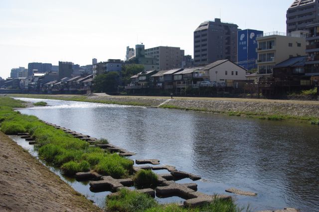 建仁寺から鴨川へ抜け出る。幅広い川で、日の光を反射して水面がきらめいていた。川の涼しげなにおいと暑さと、足だけでも川に入りたくなった。