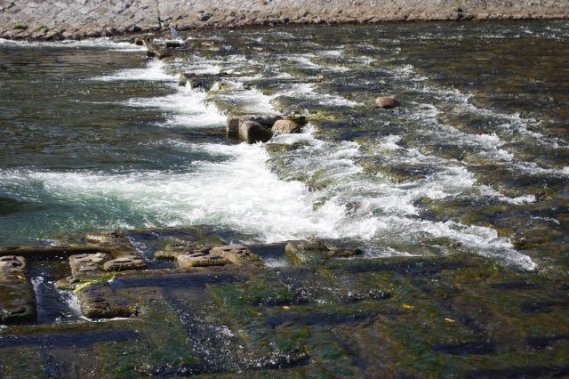 川は底が透けて見えるぐらいに浅い。段差のあるところでは細やかな白い水しぶきがきれい。