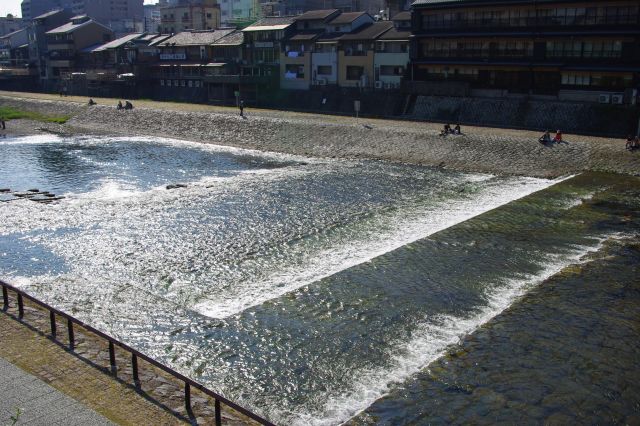 四条大橋手前より。川沿いには柳の木が垂れています。