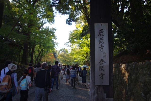 鹿苑寺（金閣寺）の入り口。舎利殿までしばらくまっすぐ歩いていきます。