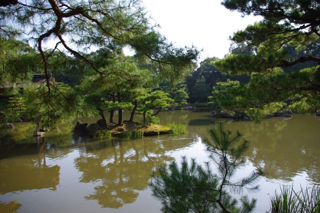 広い池には大きな鯉がいた。