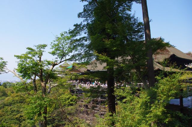 奥の院の少し先の歩道から本堂方向を眺める。緑に囲まれたお寺という感じですね。