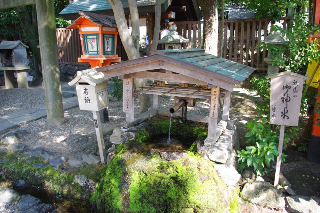 神社内にある湧き水。涼しげで和む感じの情景。