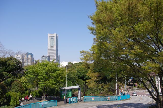 野毛山公園から野毛山動物園へと歩いていきます。つり橋になっている歩道橋を渡ります。みなとみらい方面へも見晴らしがいい所です。