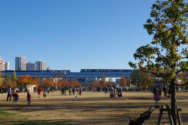 広々とした豊洲公園では多くの人が遊びに来ていた。ゆりかもめが通るところも見る事ができる。ゆりかもめを見るとお台場が近いことが実感できる。左奥は東雲（しののめ）の高層マンション群。