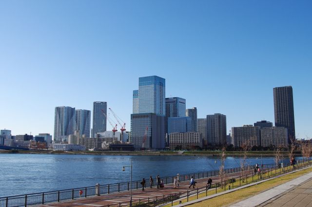 公園の海沿いから晴海ふ頭方面を眺める。海沿いは犬の散歩をする人や走る人などがいた。海と高層ビル群が何か近代的な雰囲気。