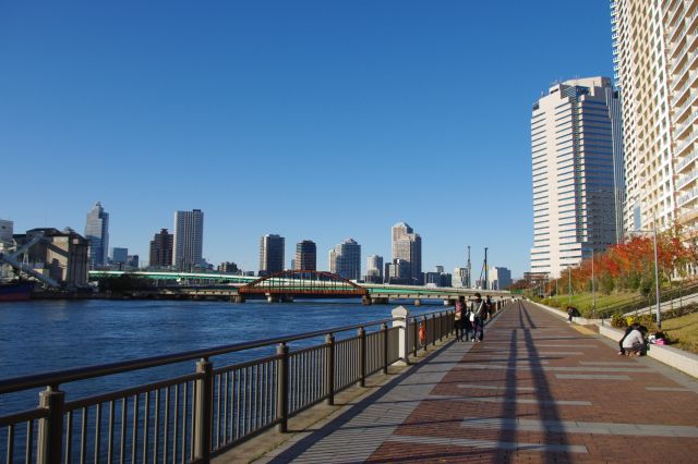 新しい高層マンションが立ち並びつつ、古い貨物線の橋などが共存する風景。工業地帯から宅地へ転換された歴史がうかがえる。