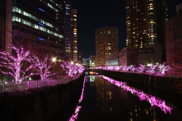 大崎・目黒川のイルミネーションの写真ページへ