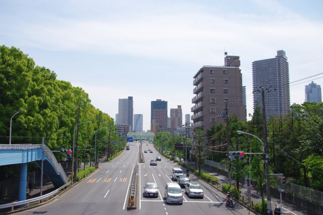 突き当りＴ字路の清澄通り上より。奥には月島の高層マンション群が見える。後方は門前中町。