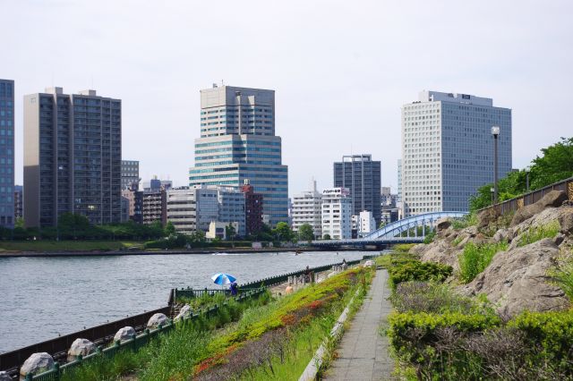 土手上の歩道は岩がごつごつしている。