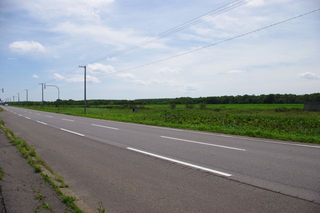 陸側。延々と緑の大地。