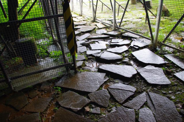 洞窟内。地面は落ちてくる水滴で湿っています。