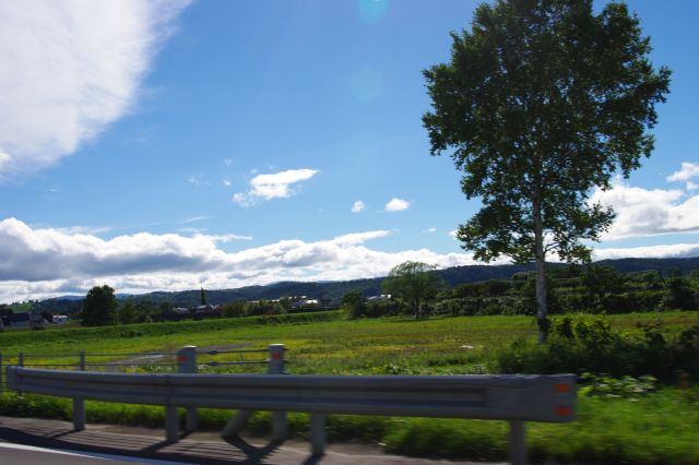 いくつかの街を通過しつつ、その間には気持ち良い自然風景が続きます。大きな白樺が1本。