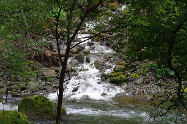 銀河の滝（後述）から石狩川へと流れる所。岩の苔が良い感じです。