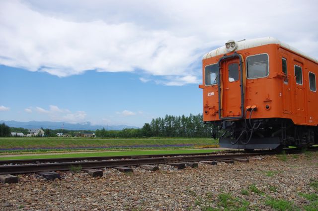 気動車とスケール感のある風景。