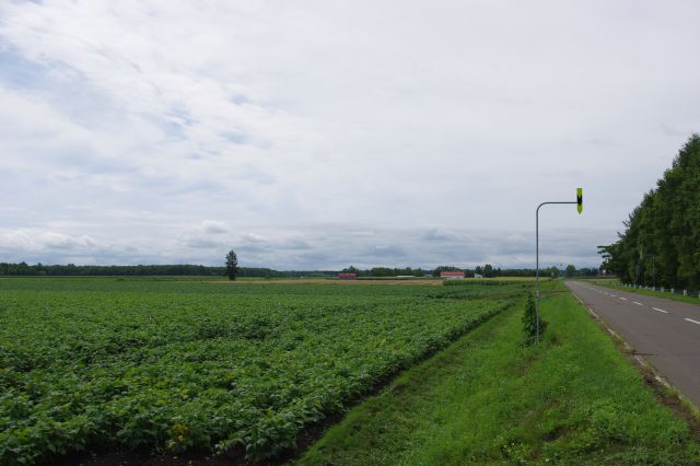 広大な畑に、直線の道路が延々と続きます。風景の距離感・スケール感が全然違いますね。