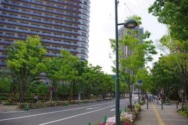 再び綱島街道へ。今度は東急の東口へ進んでいきます。新しく造られた道に並木。横には古い工場も残っていました。