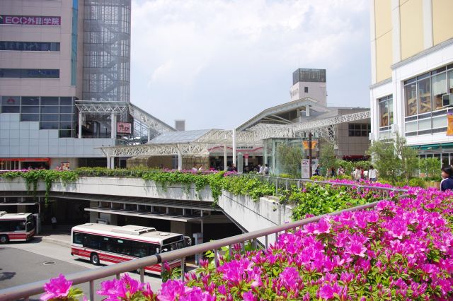 駅方向を眺める。都市風景に加わる緑・ピンク色が癒される。