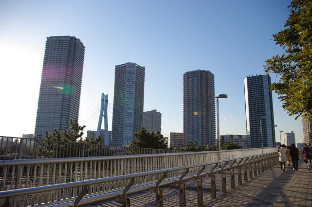 有楽町線の辰巳駅を出ると辰巳桜橋へ直結。橋の向こう側の東雲には高層マンションが林立しているのが見える。