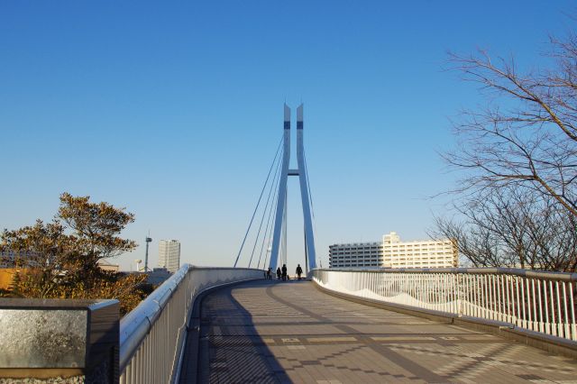 橋を渡り、東雲側の「東雲水辺公園」へ。