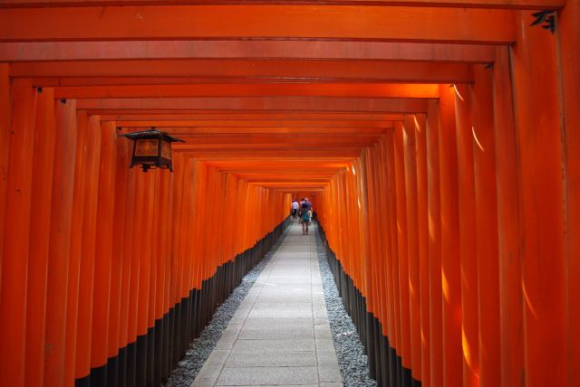 このあたりは一番鳥居の間隔が狭くて、視界は鳥居しか見えません。