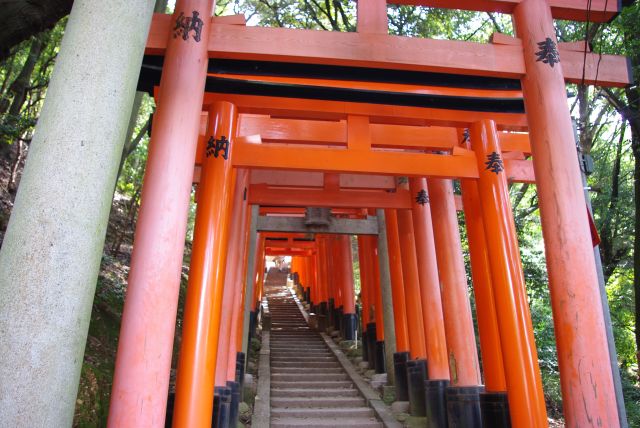 階段と鳥居。足が大分疲れていますが、もうすぐ中継地点の「四ツ辻」。